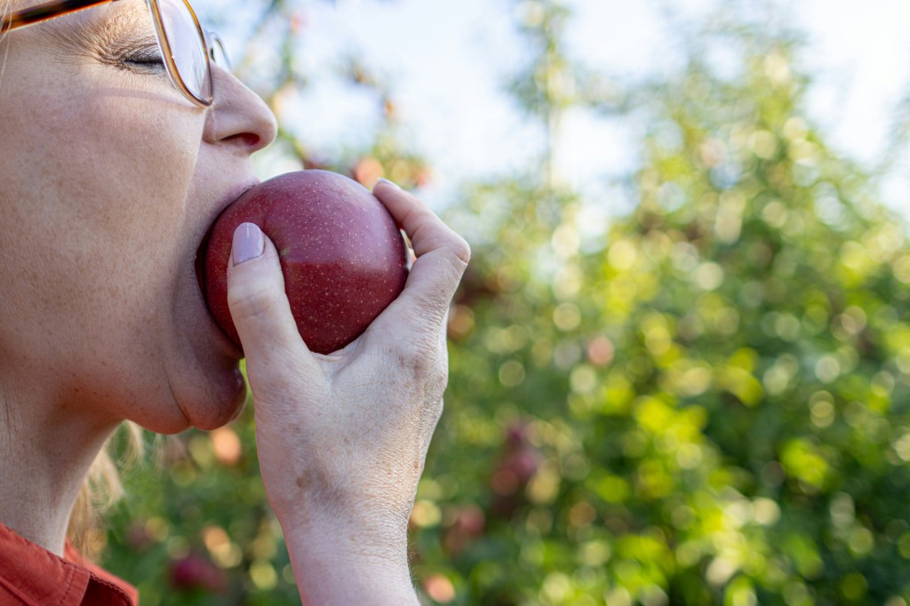 Did you eat from the tree that I commanded you not to eat from? (Gen&nbsp;3:11-13)