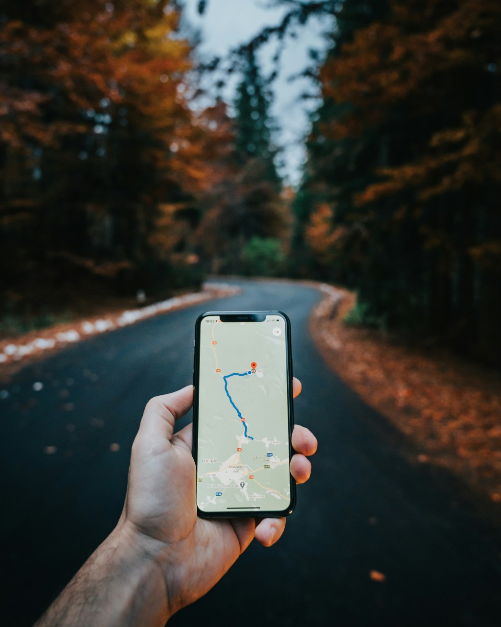 Where have you come from and where are you going? (Gen&nbsp;16:8)