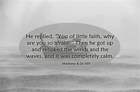 Why are you fearful, you of little faith? (Mt&nbsp;8:23-26)