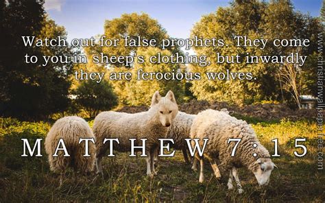 Beware of false prophets (Mt&nbsp;7:15-20)