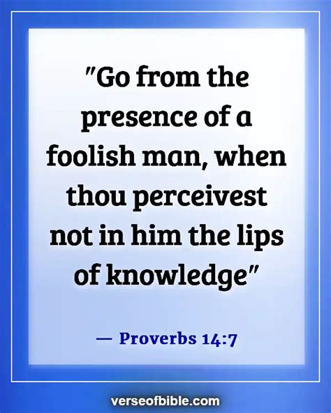 A Fool (Pv&nbsp;14:7)