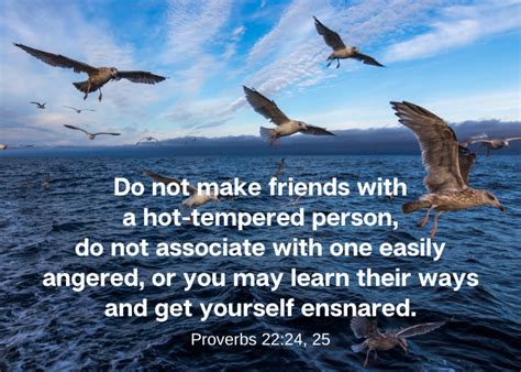 Angry or Hot-Tempered Person (Pv&nbsp;22:24-25)