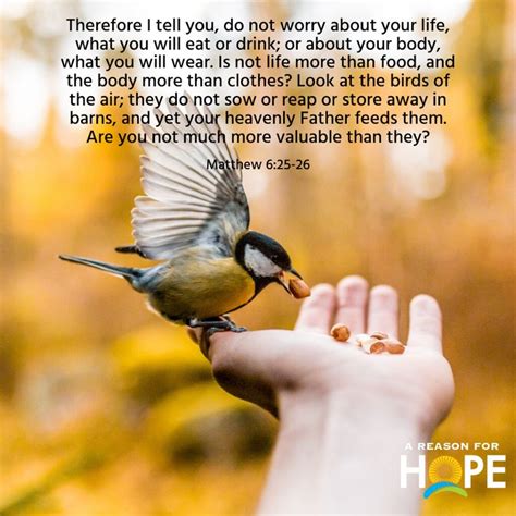 Isn’t life more than food and the body more than clothing? (Mt 6:25)